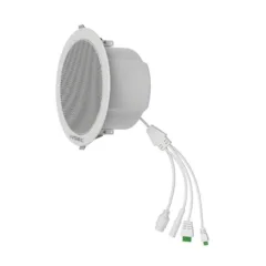 Ivsec Ceiling Speaker